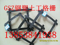 供應(yīng)天津鋼塑土工格柵價(jià)格直銷最低價(jià)土工格柵