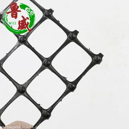 山東土工格柵廠家 質(zhì)量好價(jià)格低的雙向塑料土工格柵