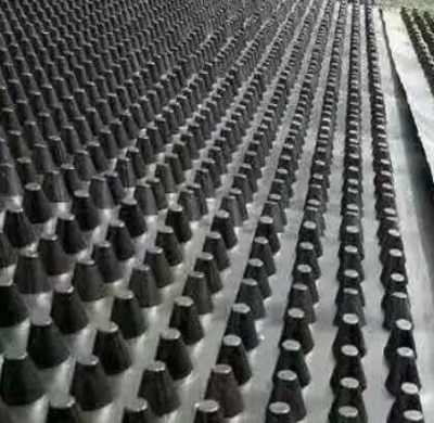 江門(mén)雙向鋼塑土工格柵廠家規(guī)格推薦