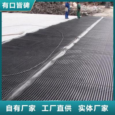 郴州及周邊地區(qū)鋼塑土工格柵應(yīng)用與發(fā)展現(xiàn)狀（2025年8月更新）