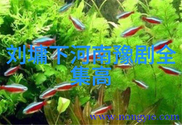 崔玉萍