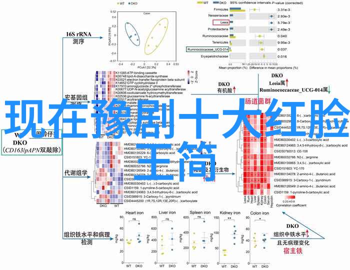 黑石关
