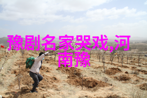 豫东调的早期科班柘城县大公议班