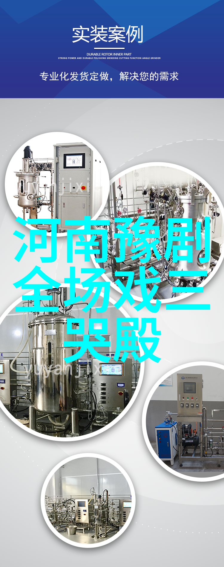 双玉凤