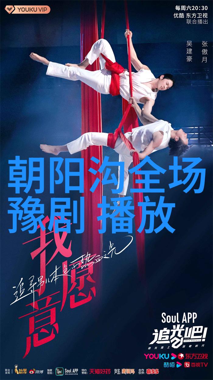 传承豫剧崔派艺术 弘扬中国戏曲文化